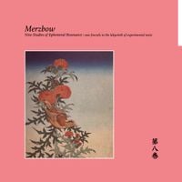 Merzbow - Nine Studies of Ephemeral Resonance Volume 8