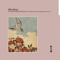 Merzbow - Nine Studies of Ephemeral Resonance Volume 9