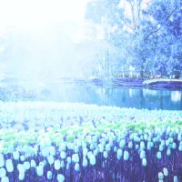 I Wish I Could Stay Here Forever - 116: So Lost in Thought (A Princess)