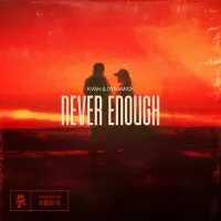 Dynamick - Never Enough