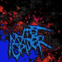 Mypetspider - mypetspider