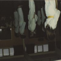 JAWS - The Ceiling