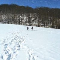 Enzo Garcia - remember snow?
