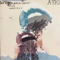 A Trillion Barnacle Lapse - Black Lava