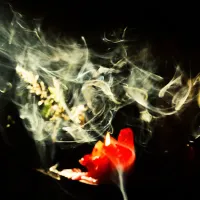 Piezo - Foreground EP