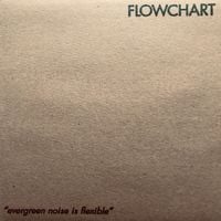 Flowchart - Evergreen Noise Is Flexible