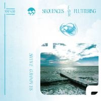 Shine Grooves - Sequences for Fluttering