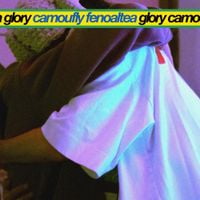 camoufly - glory