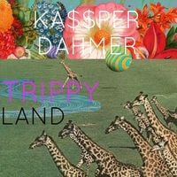KassperDahmer - TrippyLand Instrumental Tape