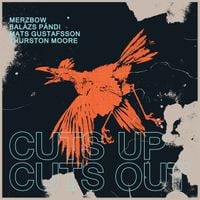 Merzbow, Bal&aacute;zs P&aacute;ndi, Mats Gustafsson & Thurston Moore - Cuts Up, Cuts Out