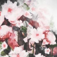 tom^s - The Beauty Of It All