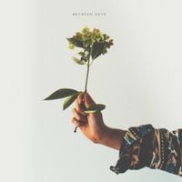 Far Caspian - Between Days