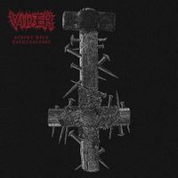 Vider - Strike with Putrefaction