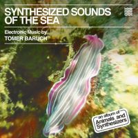 Tomer Baruch - Synthesized Sounds Of The Sea