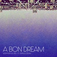 Mir Nicol&aacute;s - A BCN DREAM