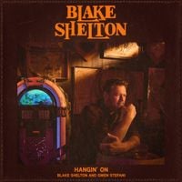Blake Shelton - Hangin' On