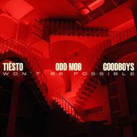 Ti&euml;sto - Won&rsquo;t Be Possible