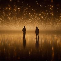 Alan Walker - Story of a Bird
