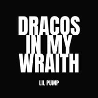 Lil Pump - Dracos In My Wraith