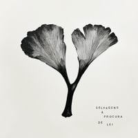 Selvagens &agrave; Procura De Lei - Y