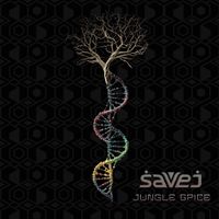 Savej - Jungle Spice