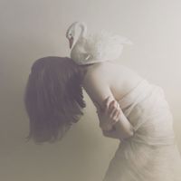 Tiago Benzinho - Roses Of Time II