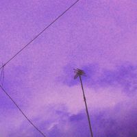 Sarochi - antennas, it watches me