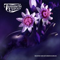 Tammela 33100 - Muistan vain astuneeni sumuun