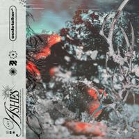 Codetalker - ASHES