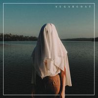 The Polarity - Sugarcoat