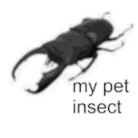 Scary Phone Call From Monster - 7. my pet insect