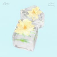N.Flying - Everlasting