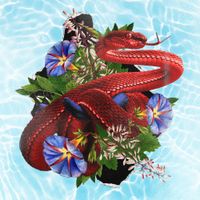 HYBS - Good Care