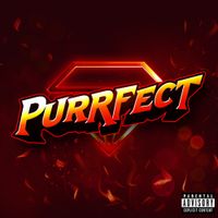 VVS - PURRFECT