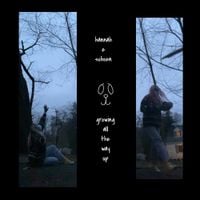 andie schoen - Growing All the Way Up