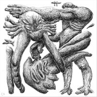The Cecilias - Cambrian Explosion