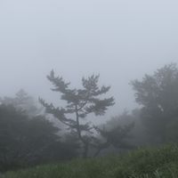 Tobias Green - conversation