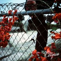 CLIQUE - In Lives That Won't Last