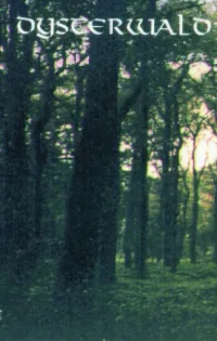 Dysterwald - Dysterwald