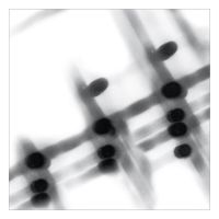 Gregor Samsa - 40:13.5