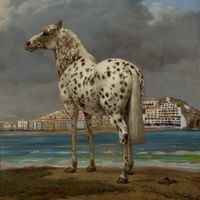 Home Counties - Spain