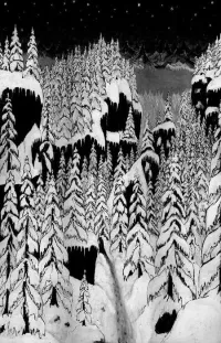 Paysage d'Hiver - Schattengang