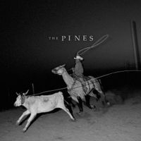 The Pines - Pasture II