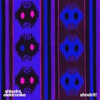 Shkodra Elektronike - shndrit!