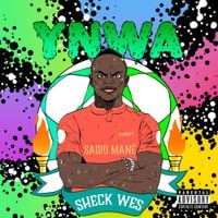 Sheck Wes - Sadio Man&eacute; (YNWA)