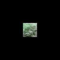Lazy Legs - Tower