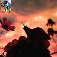 No Joy - Bugland