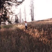 Tom Misch - Red Moon