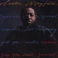 Curtis Mayfield - Never Say You Can't Survive