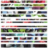 Sam Austins - The woods vol. 1